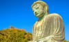 《佛說阿彌陀經》的功能作用是“離苦得樂”